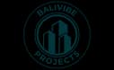 Balivibe Projects